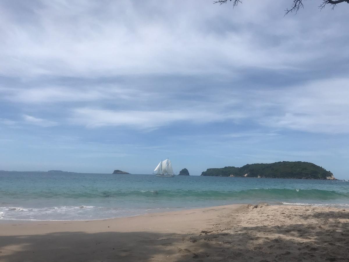 Hahei Getawayアパートメント エクステリア 写真
